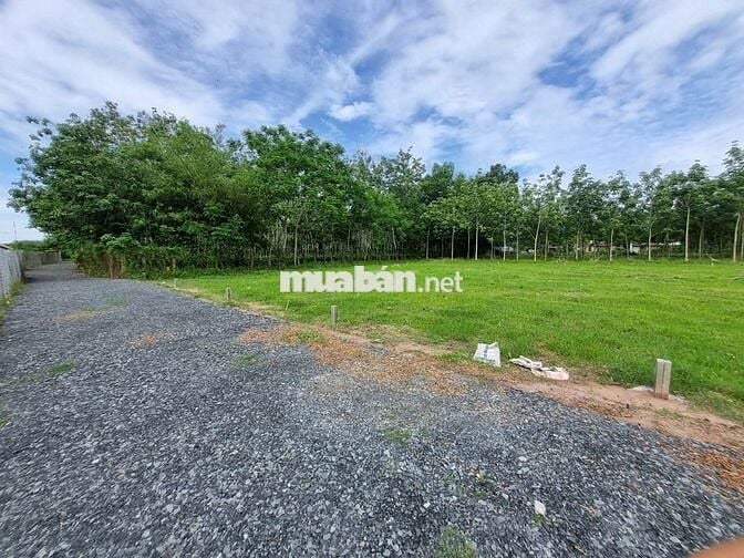 5x35 full thổ, đường thông. Sổ sẵn. Gần quốc lộ. 395tr