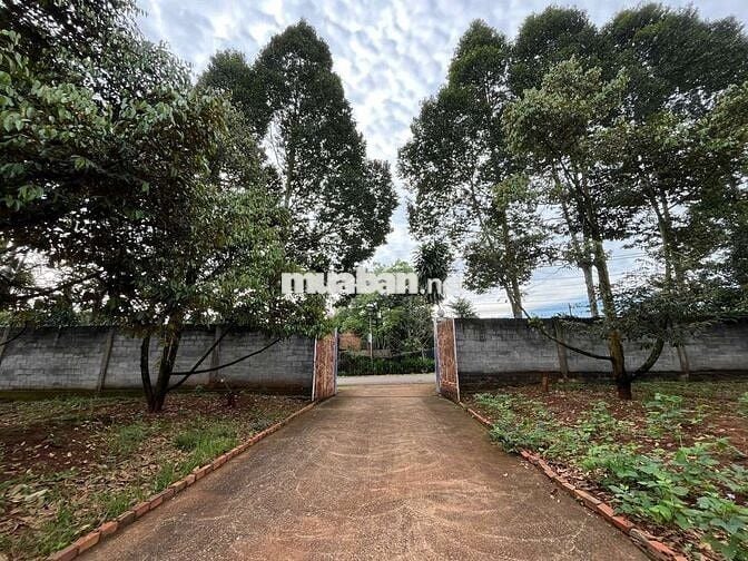 SỐC: ĐẤT VƯỜN SẦU RIÊNG - GIÁ RẺ - VIEW ĐẸP - SINH LỜI CAO