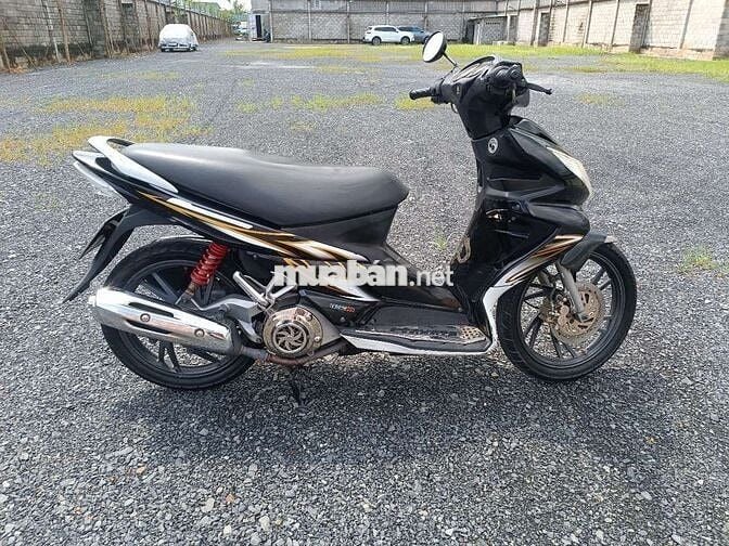 Xe chuẩn ko cần chỉnh