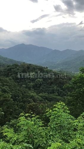 CÒN DUY NHẤT 1 MẢNH VƯỜN NẰM TRÊN ĐỒI VIEW HỒ TRỊ AN - ĐẦU TƯ SINH LỜI