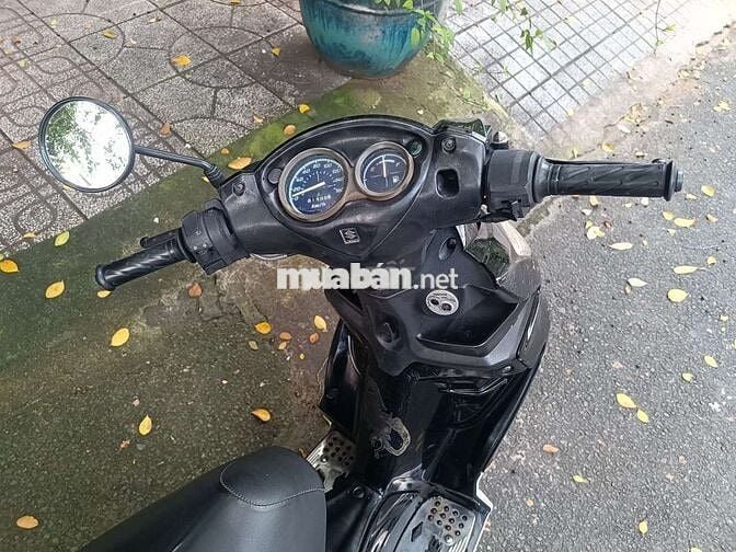 Xe chuẩn ko cần chỉnh