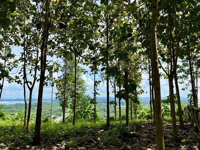 CÒN DUY NHẤT 1 MẢNH VƯỜN NẰM TRÊN ĐỒI VIEW HỒ TRỊ AN - ĐẦU TƯ SINH LỜI