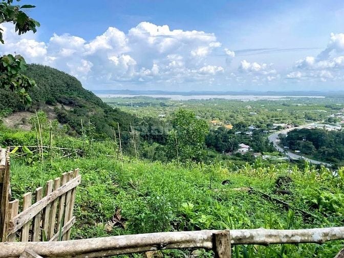 CÒN DUY NHẤT 1 MẢNH VƯỜN NẰM TRÊN ĐỒI VIEW HỒ TRỊ AN - ĐẦU TƯ SINH LỜI