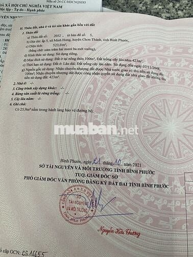 GIA ĐÌNH MẮC NỢ NÊN  BÁN BỚT ĐẤT ĐỂ TRẢ NỢ