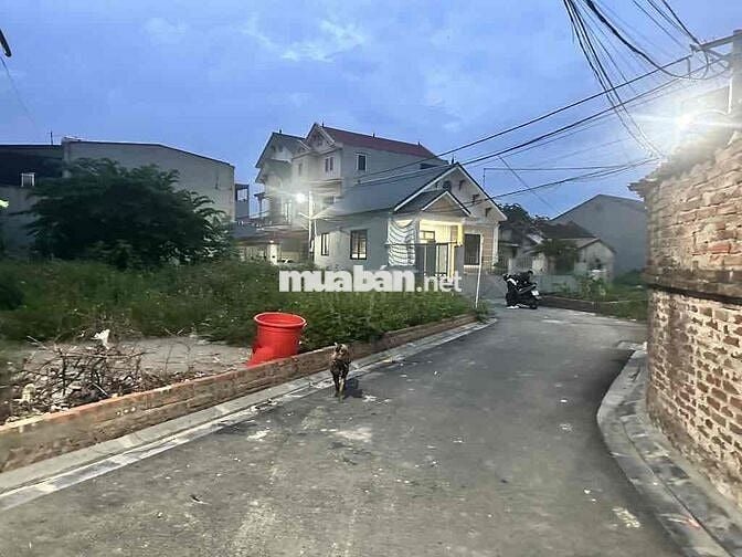 CHỦ BÁN GẤP TRONG THÁNG ĐẤT PHÂN LÔ- TẦM TIỀN-  Ô TÔ - ĐẦU TƯ OK 78m2