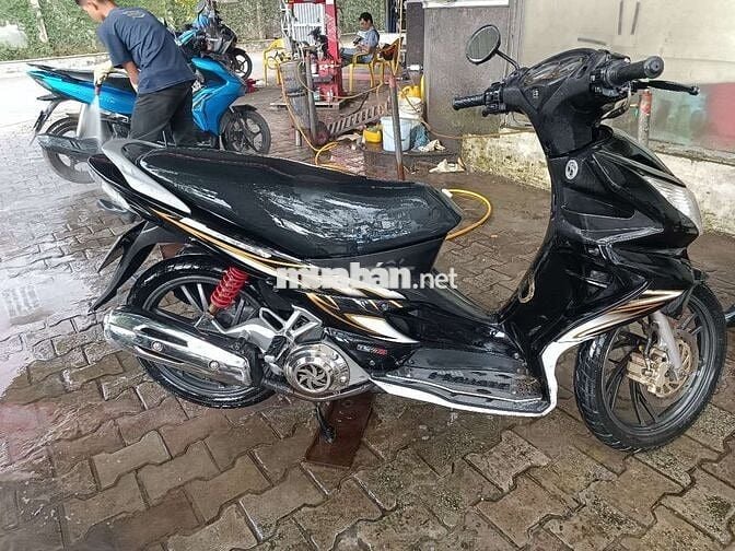 Xe chuẩn ko cần chỉnh