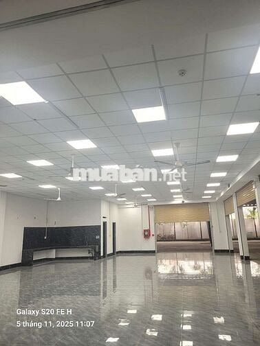 💢Xưởng cho thuê DT 1200m Đường xe COTENER vào xưởng