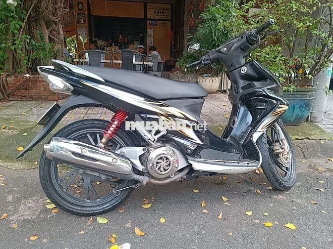 Xe chuẩn ko cần chỉnh