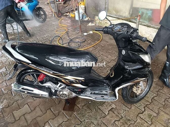 Xe chuẩn ko cần chỉnh