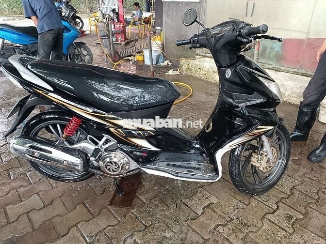 Xe chuẩn ko cần chỉnh