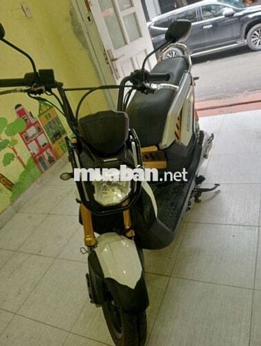 xe cam zin nguyên con