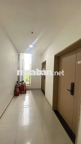 💥 nhanh mới kịp, cc tham lương, Dương Thị Giang