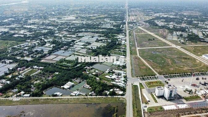 sang lại 1,1 hecta đất cảng tân tập