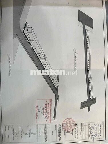 sang lại 1,1 hecta đất cảng tân tập