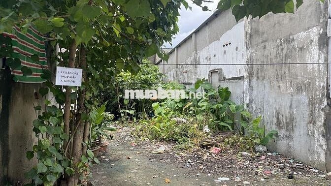 Bán 100m² (5mx20m) Đất thổ cư Quốc Lộ 13 cũ, Hiệp Bình Phước