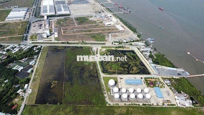 sang lại 1,1 hecta đất cảng tân tập