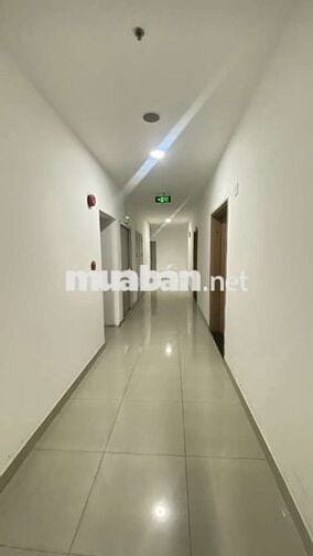 💥 nhanh mới kịp, cc tham lương, Dương Thị Giang