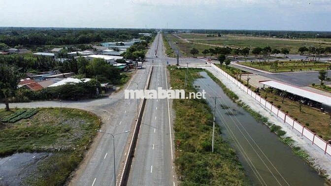 sang lại 1,1 hecta đất cảng tân tập