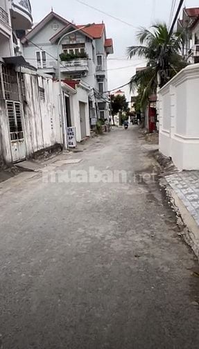 Bán đất lô góc Cái Tắt An Dương Hải Phòng