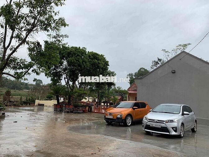 Chính chủ bán xe vf5 plus, màu cam, sx 2023