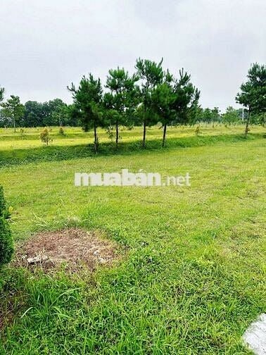 Chuyển nhượng lô đất tại Thiên Đức Vĩnh Hằng Viên - Phú Thọ