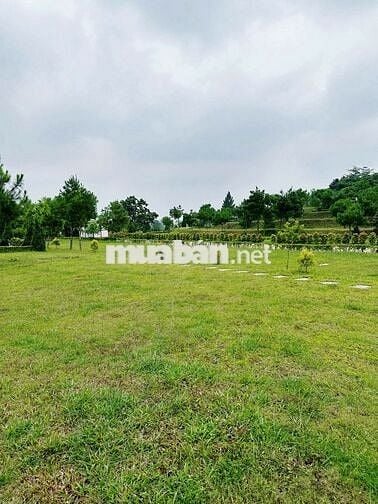 Chuyển nhượng lô đất tại Thiên Đức Vĩnh Hằng Viên - Phú Thọ