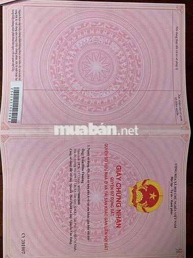 BÁN ĐẤT TRỒNG CÂY CAO SU LÂU NĂM