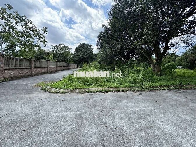 💥💥💥ĐẤT ĐẸP - DÂN CƯ ĐÔNG ĐÚC - Ô TÔ TRÁNH - CHỦ CẦN BÁN GIẢM 100TR