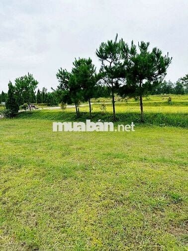 Chuyển nhượng lô đất tại Thiên Đức Vĩnh Hằng Viên - Phú Thọ