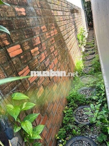 BT cho thuê nhà sân vườn - Vĩnh Hòa