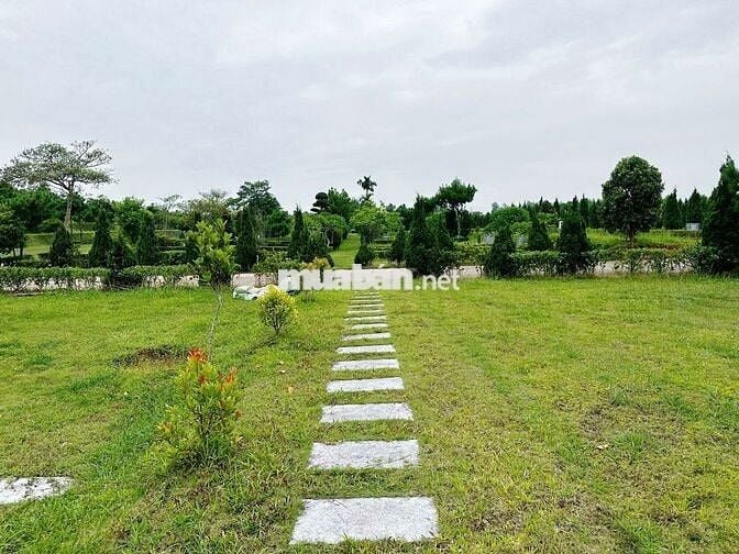 Chuyển nhượng lô đất tại Thiên Đức Vĩnh Hằng Viên - Phú Thọ