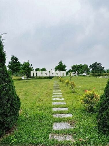 Chuyển nhượng lô đất tại Thiên Đức Vĩnh Hằng Viên - Phú Thọ