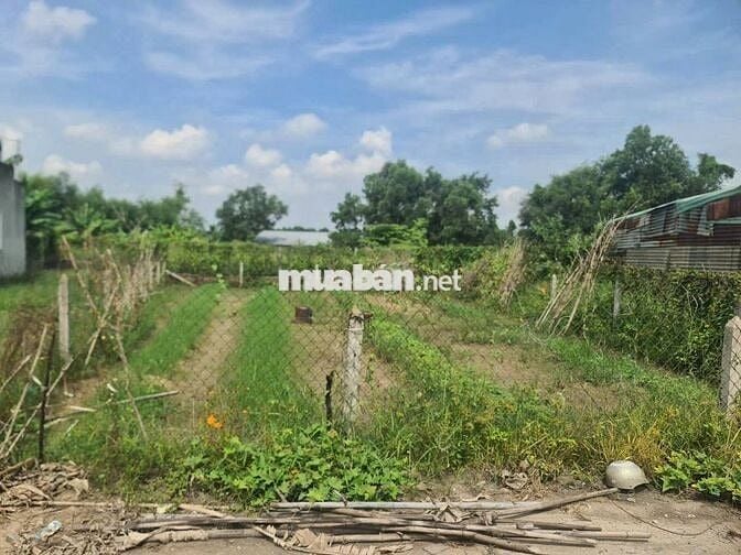 1,950 TỎI TÂN AN,  8tr/1m2 GIÁ ĐẤT TÂY NINH