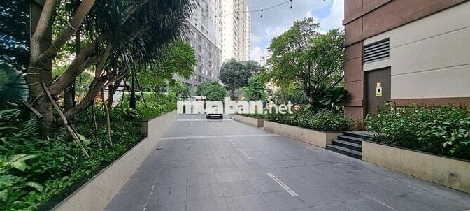 Cho Thuê Mặt Bằng Kinh Doanh (Shophouse) - Dự án Golden Mansion