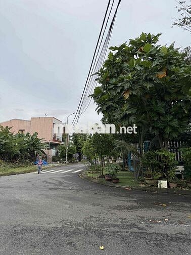 Đất nền đường Gia Tròn sát Trường tiểu học Trưng Nữ Vương sắp mở móng