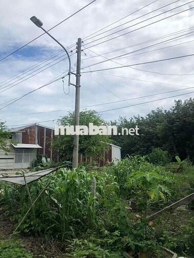 Bán đất mặt tiền đường nhựa, Định Thành Dầu Tiếng, có thổ cư