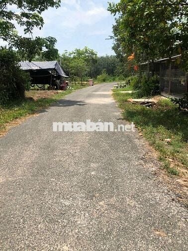 Bán đất mặt tiền đường nhựa, Định Thành Dầu Tiếng, có thổ cư