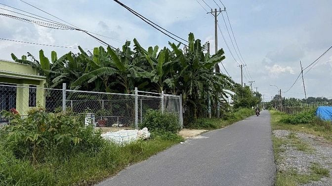 Chính chủ bán đất 400 m2 , Tân thông Hội, Củ Chi