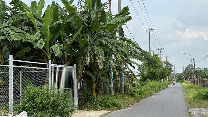 Chính chủ bán đất 400 m2 , Tân thông Hội, Củ Chi