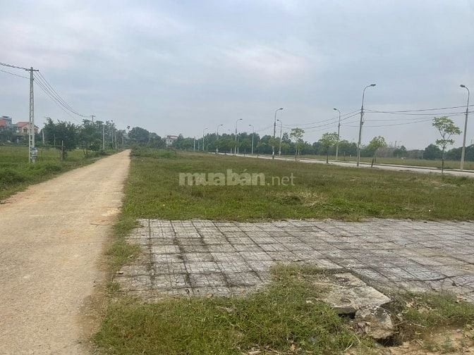 Bán lô đất  10x25, chợ Đà 300m tung tâm Triệu Sơn 