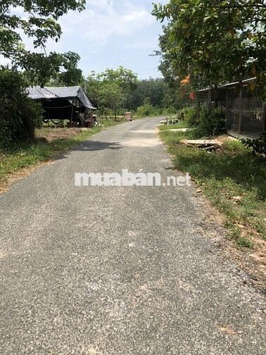 Bán đất mặt tiền đường nhựa, Định Thành Dầu Tiếng, có thổ cư