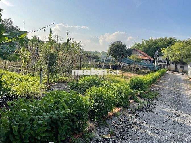 Đất 1 sẹc ngắn Hà Duy Phiên 2 mặt tiền trước sau 2,728m2 full thổ