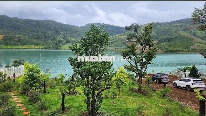 Định cư nước ngoài bán lỗ gấp lô 26x80m 2082m2 giá 300 triệu View Hồ