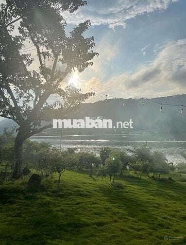 Định cư nước ngoài bán lỗ gấp lô 26x80m 2082m2 giá 300 triệu View Hồ