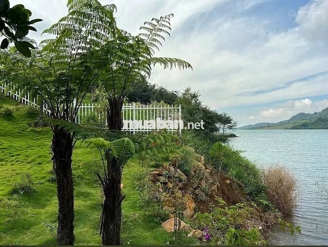 Định cư nước ngoài bán lỗ gấp lô 26x80m 2082m2 giá 300 triệu View Hồ
