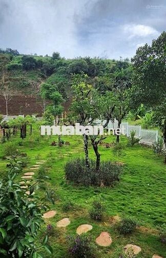 Định cư nước ngoài bán lỗ gấp lô 26x80m 2082m2 giá 300 triệu View Hồ