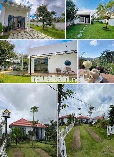 Hàng Ngộp Bán Rẻ 1005m2 Giá 450Triệu TP.Bảo Lộc Tiện Phân Lô View Đẹp