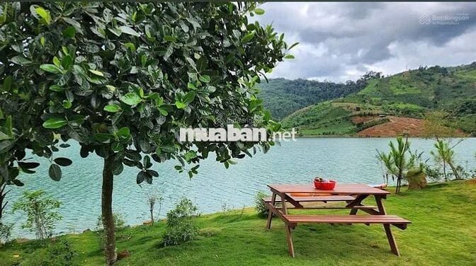 Định cư nước ngoài bán lỗ gấp lô 26x80m 2082m2 giá 300 triệu View Hồ