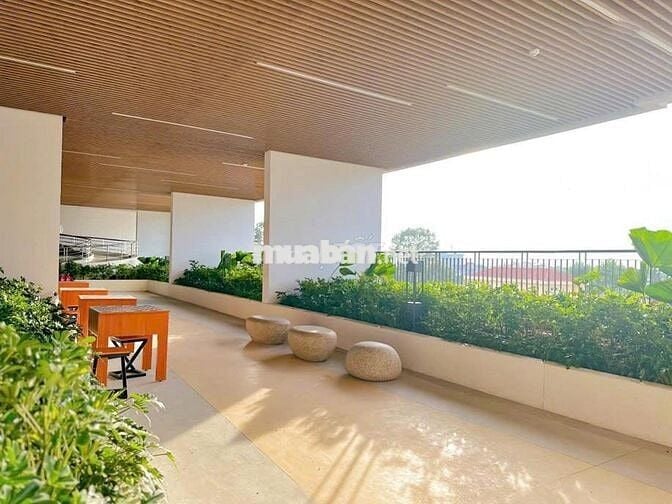 Thuê Nhanh căn hộ Studio 4tr có bancon nhà mới tại Opal Skyline