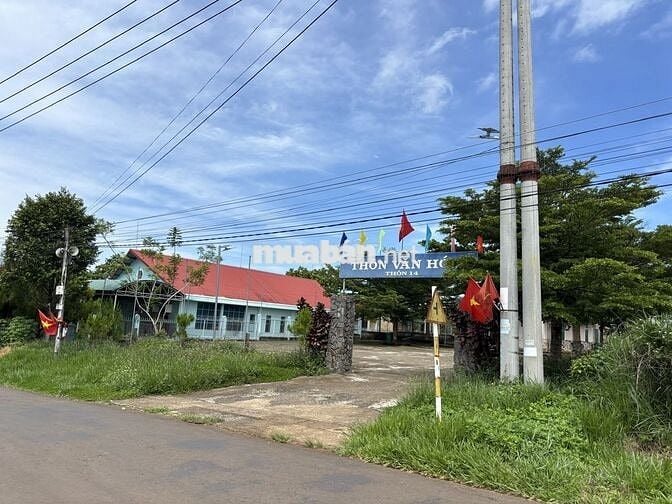 Bán đất CLN mặt tiền đường Thôn 14 - Phường 2 Bảo Lộc, LĐ